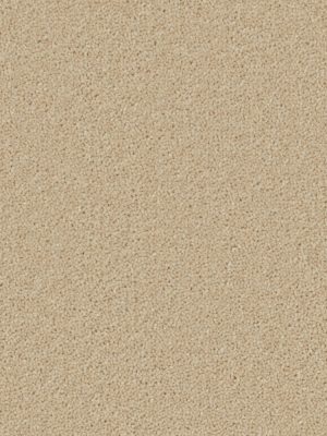 Hampstead Deluxe Fossil 80/20 Wool Blend Carpet